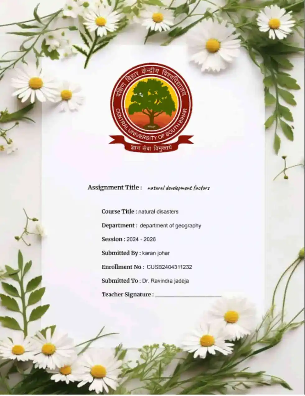 template for CUSB student which helps in assignment or project