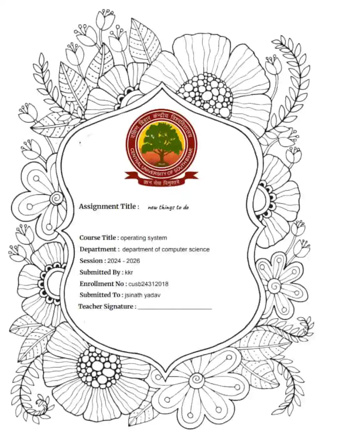 daily usage assignment or project template for CUSB student